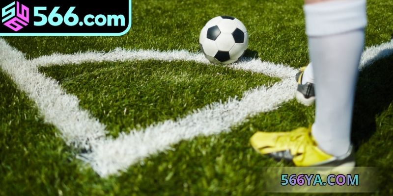 Có nhiều loại cược phổ biến dành cho người dùng